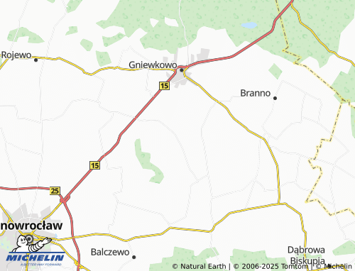 MICHELIN Wierzbiczany map - ViaMichelin