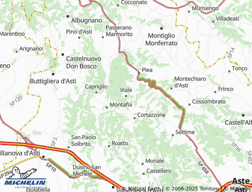 MICHELIN Viale map - ViaMichelin