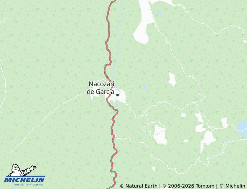 Carte MICHELIN Gómez Morín - ViaMichelin