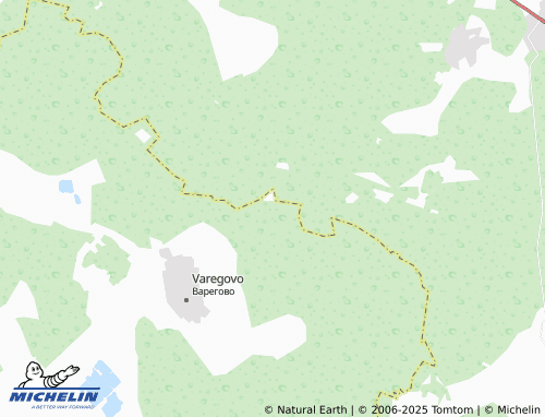 MICHELIN Lyagichino map - ViaMichelin
