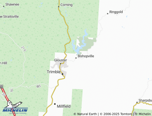 MICHELIN Bishopville map - ViaMichelin