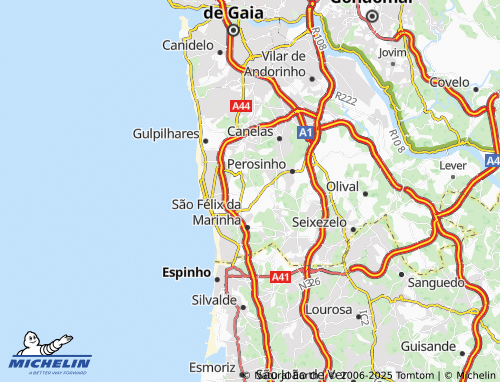 MICHELIN Serzedo map - ViaMichelin