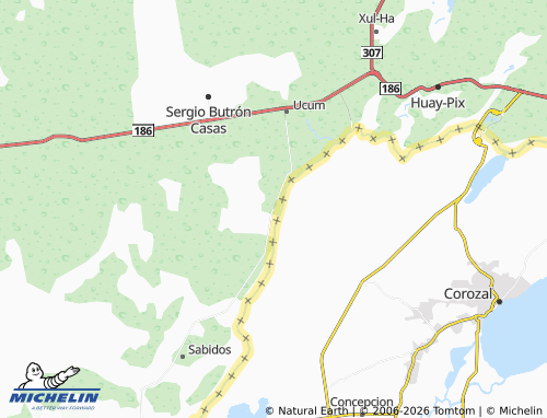 Mappa MICHELIN El Palmar - ViaMichelin