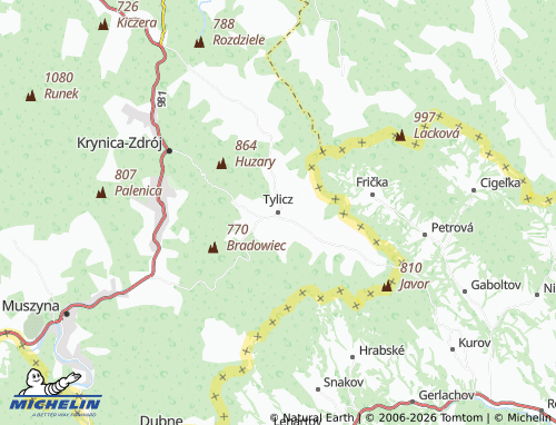 MICHELIN Tylicz map - ViaMichelin