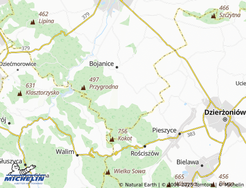Mappa MICHELIN Lutomia Górna - ViaMichelin