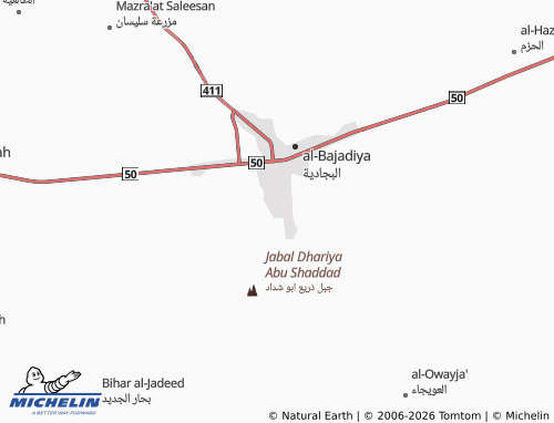 Mappa MICHELIN al-Salihiyyah - ViaMichelin