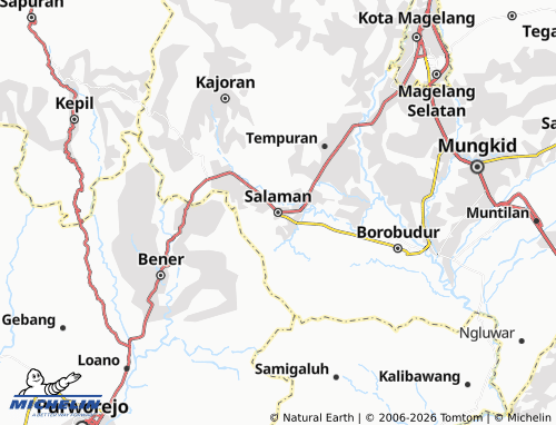 MICHELIN-Landkarte Salaman - ViaMichelin