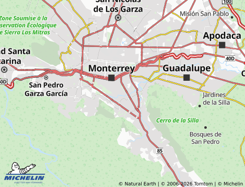 Mappa MICHELIN México - ViaMichelin
