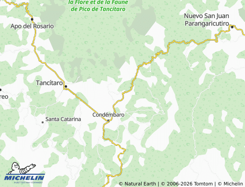 MICHELIN Araparícuaro map - ViaMichelin