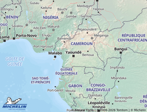 Carte MICHELIN Cameroun - ViaMichelin