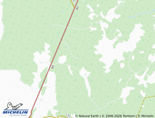 Mappa MICHELIN San Isidro de Martínez - ViaMichelin