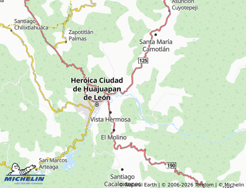 Mappa MICHELIN Temazcal - ViaMichelin