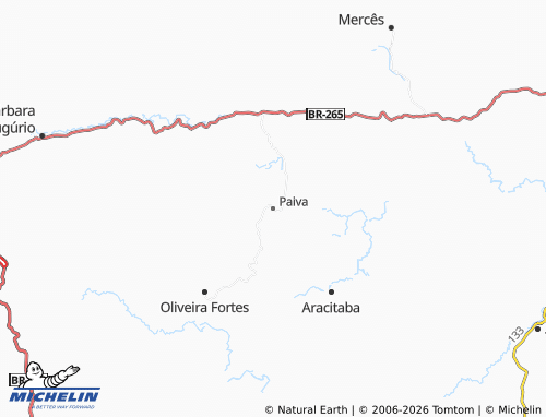 Mappa MICHELIN Paiva - ViaMichelin