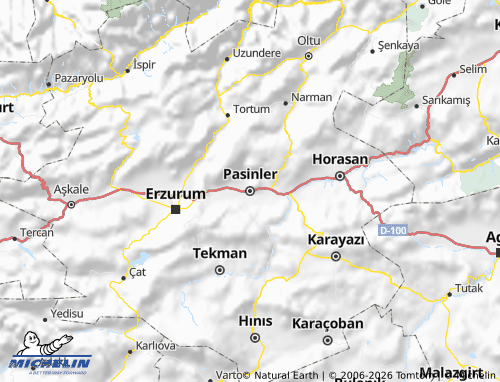 MICHELIN Pasinler map - ViaMichelin