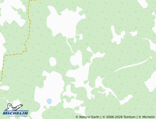 Carte MICHELIN Bol'shoye Petrovo - ViaMichelin