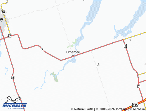 MICHELIN Omemee map - ViaMichelin