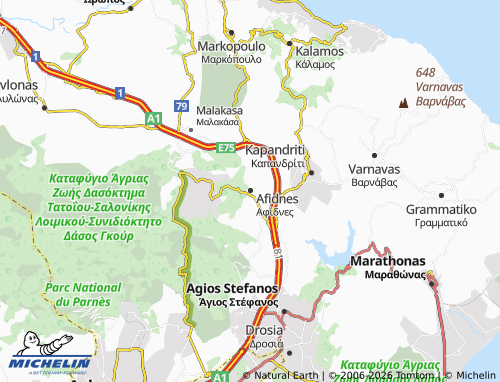 Mapa MICHELIN Afidnes - ViaMichelin