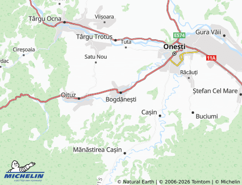 MICHELIN Bogdănești map - ViaMichelin