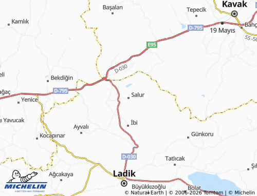 MICHELIN Salur map - ViaMichelin