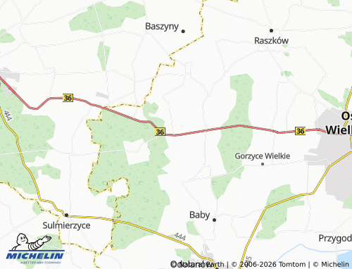 MICHELIN Daniszyn map - ViaMichelin