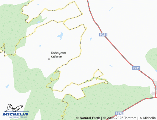 MICHELIN-Landkarte Barashevo - ViaMichelin
