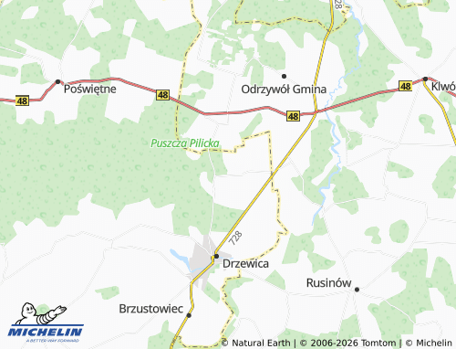 MICHELIN Domaszno map - ViaMichelin