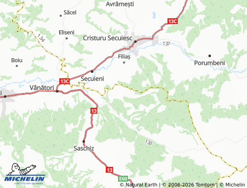 MICHELIN-Landkarte Feleag - ViaMichelin