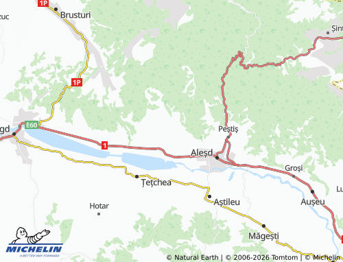 MICHELIN Lugașu de Sus map - ViaMichelin