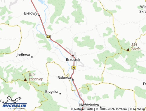 MICHELIN Brzostek map - ViaMichelin