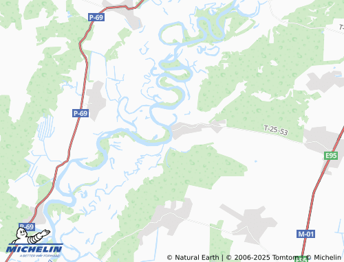 MICHELIN Nadynivka map - ViaMichelin