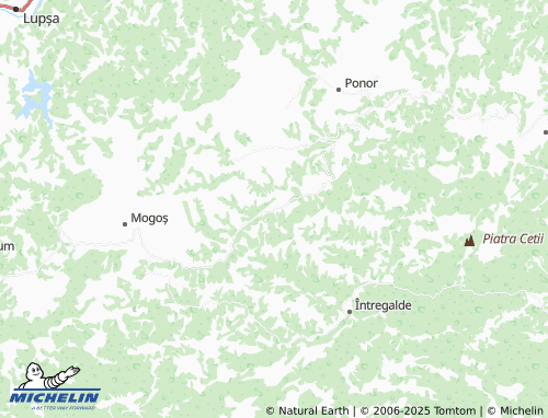 MICHELIN Cojocani map - ViaMichelin