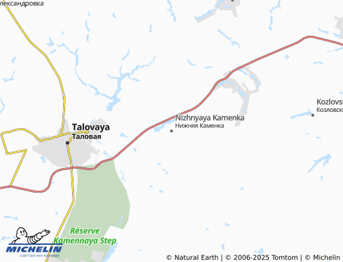MICHELIN Nizhnyaya Kamenka map - ViaMichelin