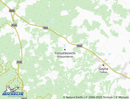 MICHELIN Yanushkovichi map - ViaMichelin