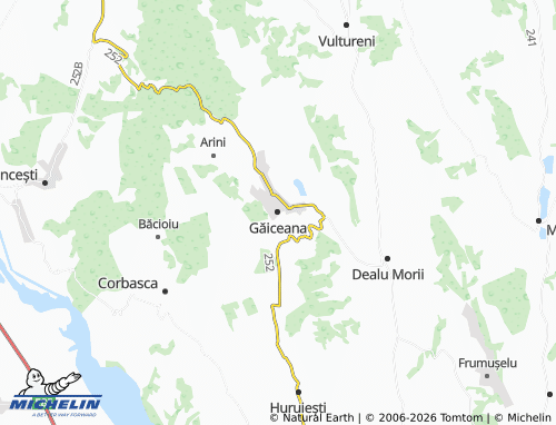 Mapa MICHELIN Găiceana - ViaMichelin
