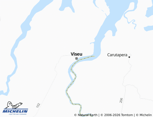 Carte MICHELIN Viseu - ViaMichelin
