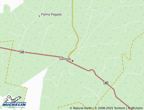 MICHELIN La Gasolinera map - ViaMichelin