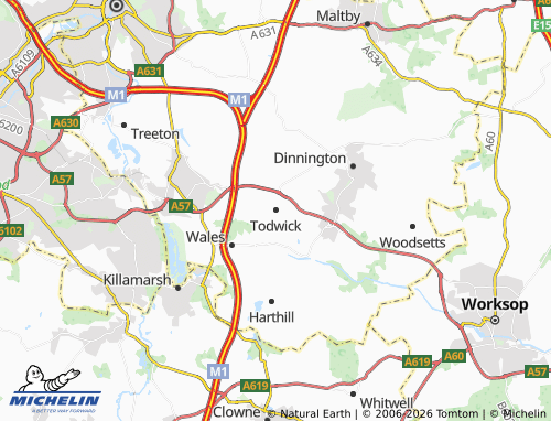 Carte MICHELIN Todwick - ViaMichelin