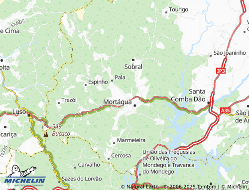 MICHELIN Vale de Remígio map - ViaMichelin