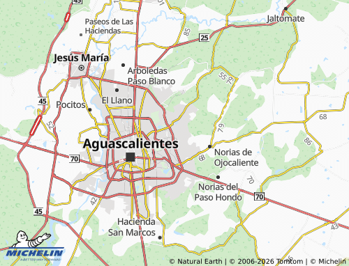 Mappa MICHELIN Rodolfo Landeros Gallegos - ViaMichelin