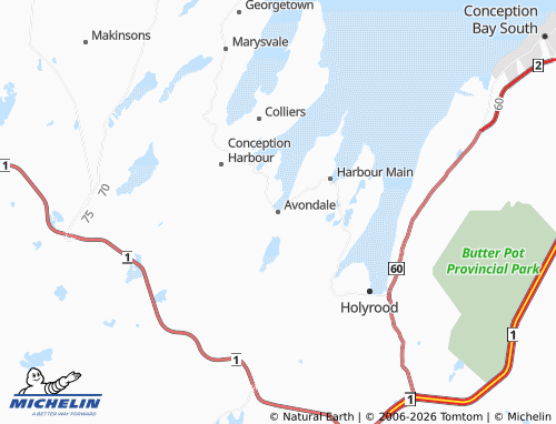 Mappa MICHELIN Avondale - ViaMichelin