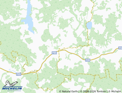 Carte MICHELIN Rodniki - ViaMichelin