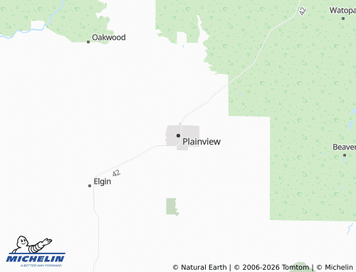 Kaart MICHELIN Plainview - ViaMichelin