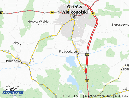 MICHELIN Janków Przygodzki map - ViaMichelin