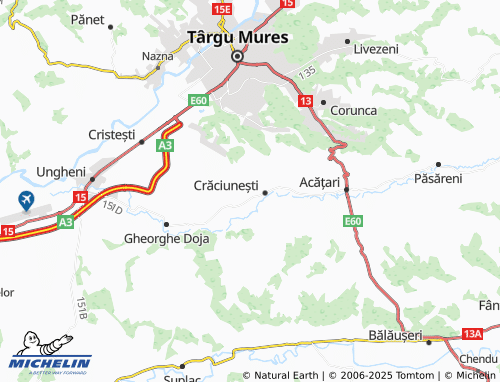 Mappa MICHELIN Nicolești - ViaMichelin