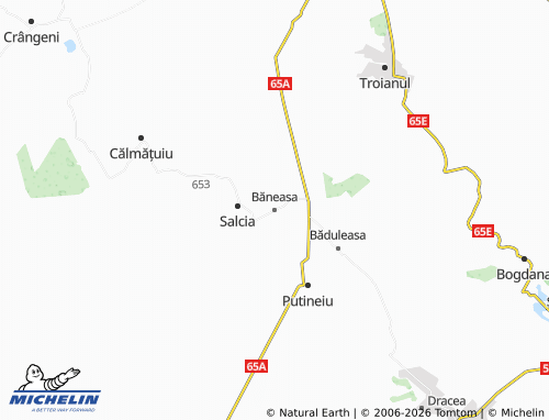 Mappa MICHELIN Băneasa - ViaMichelin