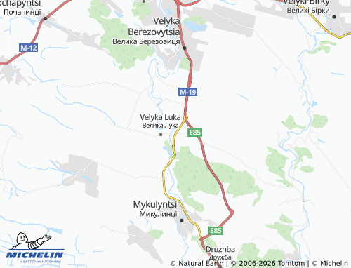 Mappa MICHELIN Myshkovychi - ViaMichelin