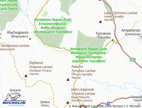 MICHELIN Damasi map - ViaMichelin