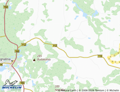 Mappa MICHELIN Naujasis Daugėliškis - ViaMichelin