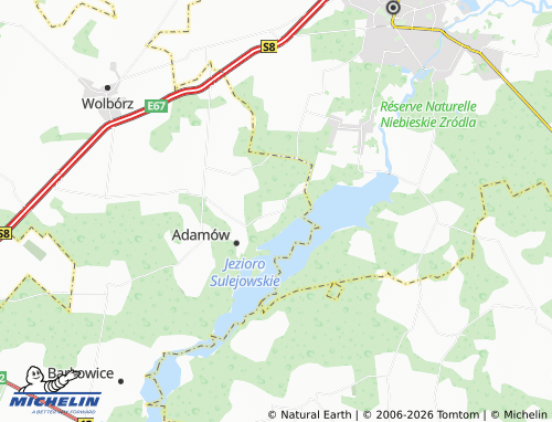 MICHELIN Swolszewice Duże map - ViaMichelin