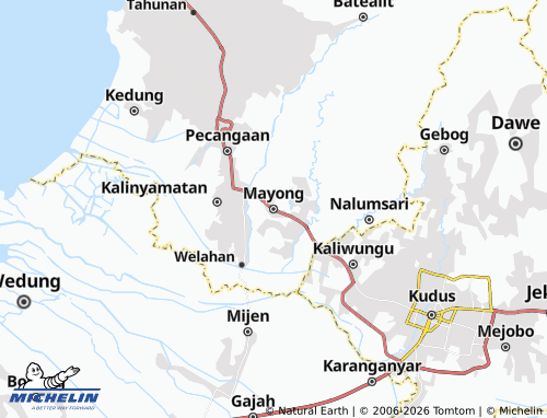 Carte MICHELIN Mayong - ViaMichelin